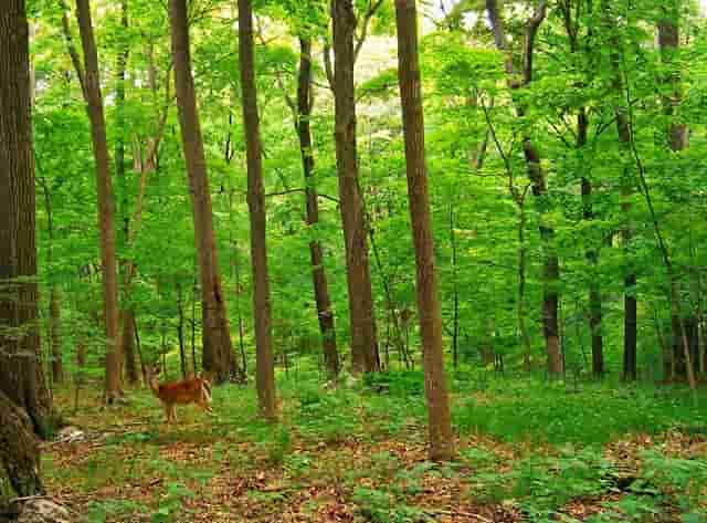 三十岁报培训班