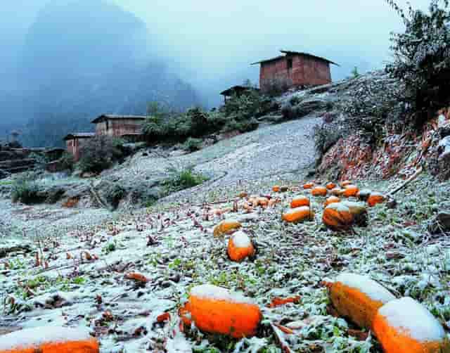 李鸿章年轻美图(年轻不识李鸿章)