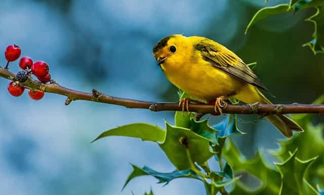 力争今后十年70-80%能源增量由新能源来替代 