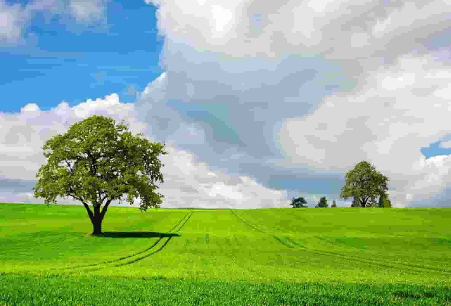 胡海泉灥喜锅怎么打造私域流量呢？