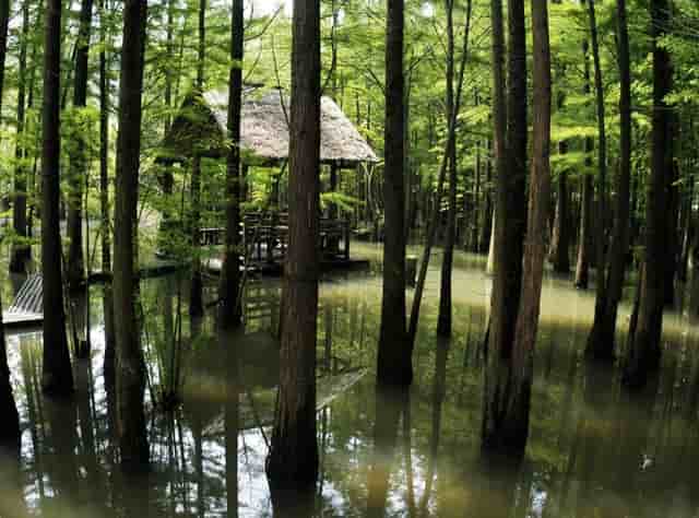 立足资源优势 赋能健康产业