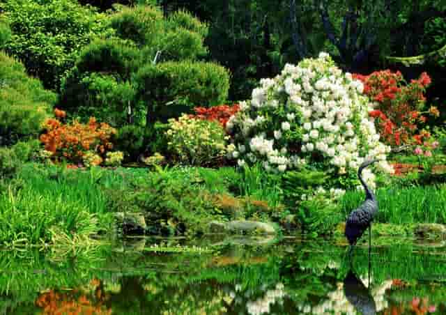 袖虎病猫攻略：猫眼睛无神？不是对你不满，很可能是少了这个