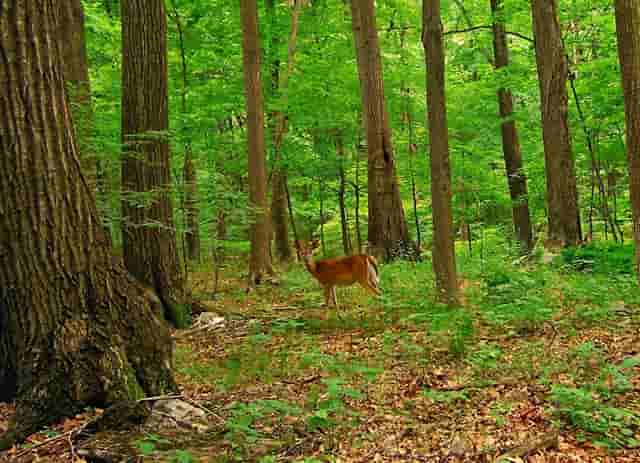 高血压的“克星” 多吃一口 血压升高一分 早避早好