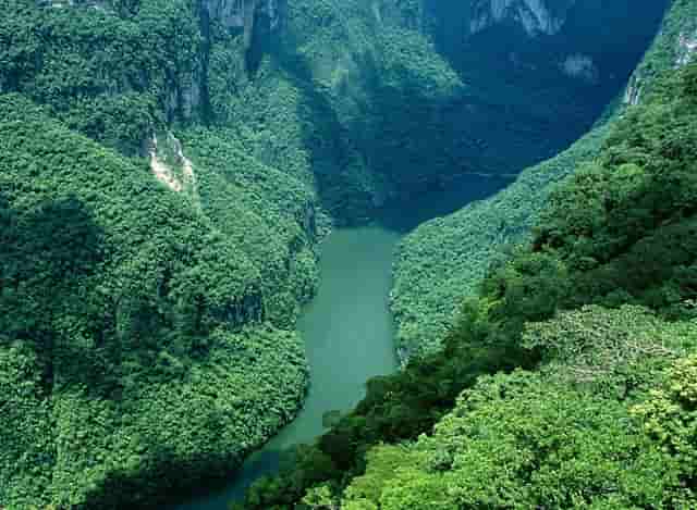 陈飞宇的嘴是凸的？这不是一个英俊的年轻人吗