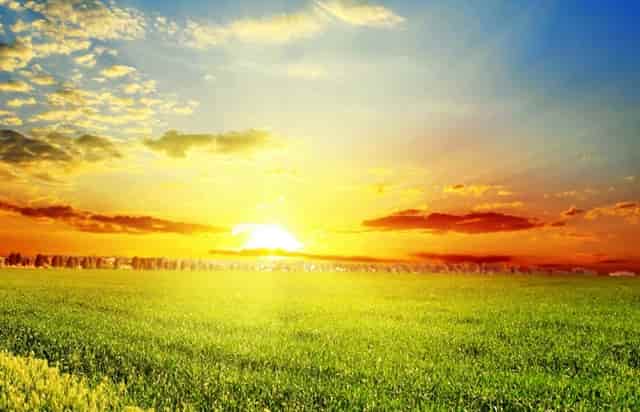 英国女足澳大利亚女足