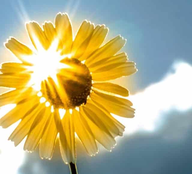 妈妈名下有车能换新车吗