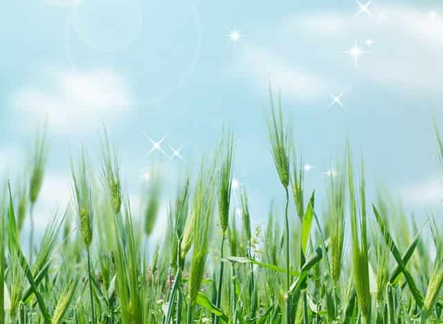 全息摹复 焕彩流丹 ——和林格尔东汉墓室壁画整体摹复及中国古代壁画的非本体再现展学术研讨会将在上海举办