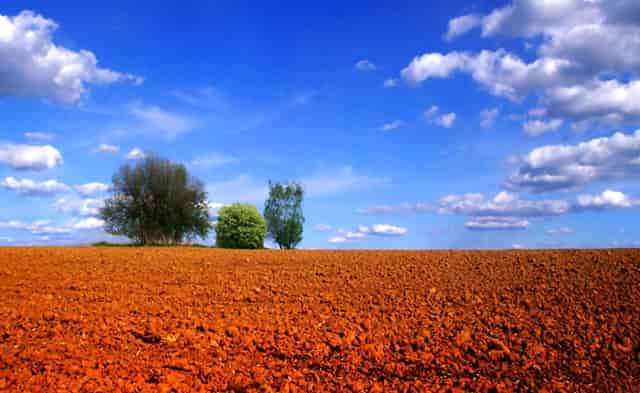 海产品销售榜(在国内怎么销售进口海产品)