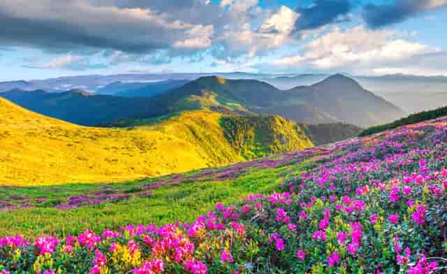 不做“大而全” 选择“专而精” 