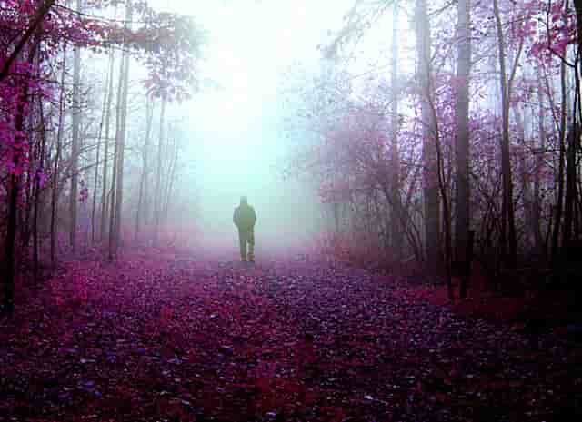 年纪轻轻心脏骤停 如何操作才能远离关键时刻？