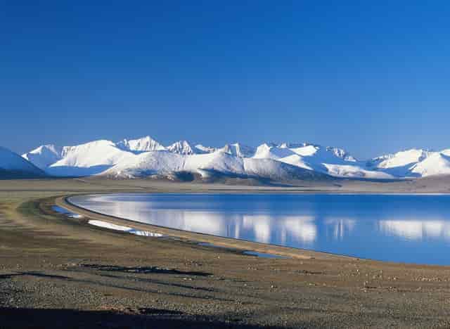 靶向药新星·拉罗替尼不限癌种（Larotrectinib，LOXO-101）