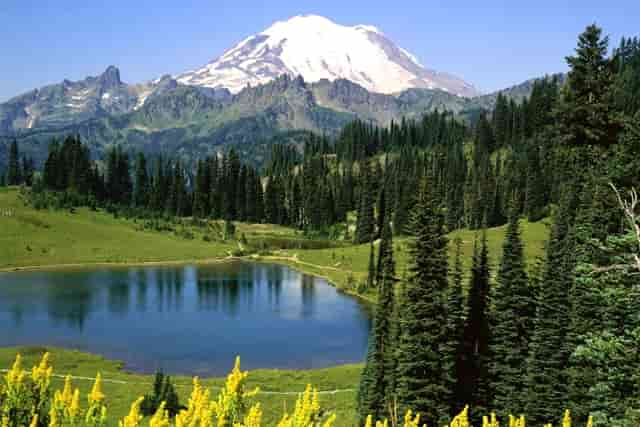 秋日第一杯，有人喝的是螺蛳粉奶茶？