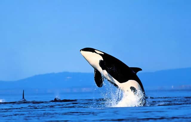 二手房房价怎么调整