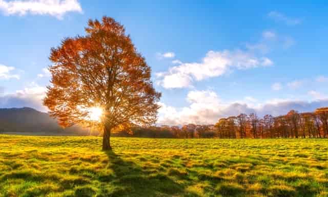 斯琴塔娜博物馆建馆十周年暨“追梦草原”香港大学生内蒙古暑期实习活动10周年即将推出“中华优秀传统文化传承创新论坛”