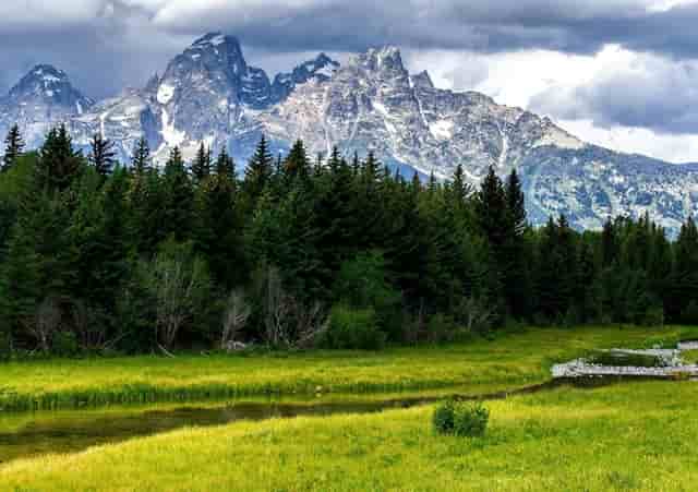 福特ranger车(福特ranger车型)