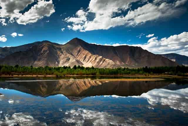 研究生考公务员需要应届生吗