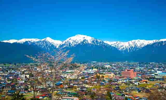 宁夏网校系统平台，网校系统比较哪个好用