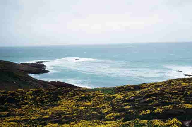 ASH2023 | 西比曼两项免疫肿瘤药物临床数据发布