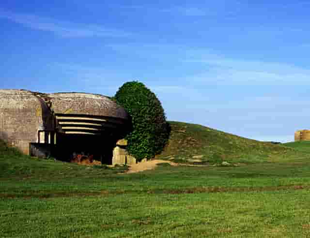 西比曼生物TIL疗法C-TIL051获FDA批准临床，针对非小细胞肺癌