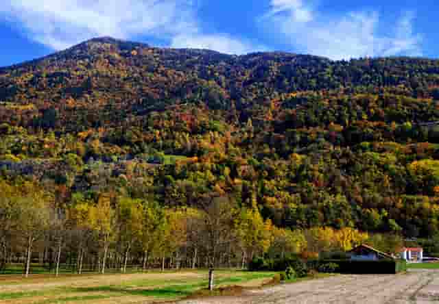 金堂有考研培训班吗？金堂在职考研线下培训班金锐砺考研金堂分校