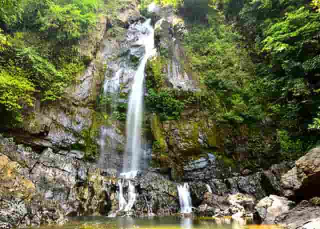 首付款达2.45亿美元！杨森引进西比曼生物两款CAR-T产品