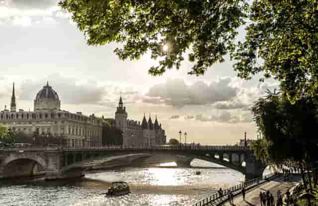 袖虎病狗攻略：狗狗体臭处理的五大方面