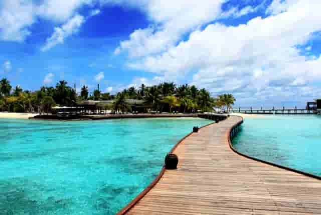 胡海泉灥喜锅企业分享鸭肠火锅新吃法！