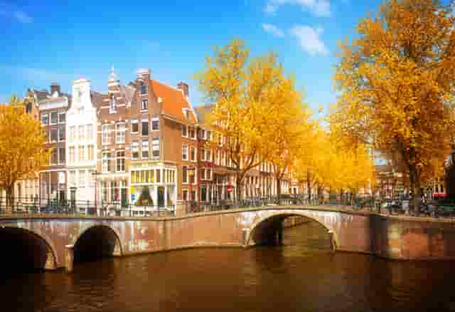 原来可做到皮肤式防水的是它！反应型自粘防水卷材“赛高”