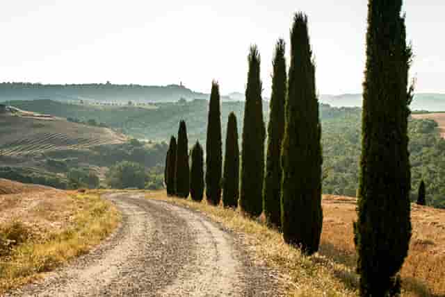 预制聚氨酯保温管是一次注料发泡成型的高质量保温管道