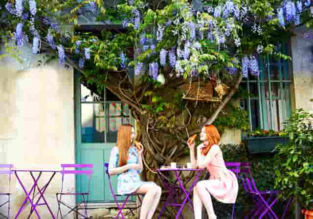 核酸接种查询(接种核酸疫苗)