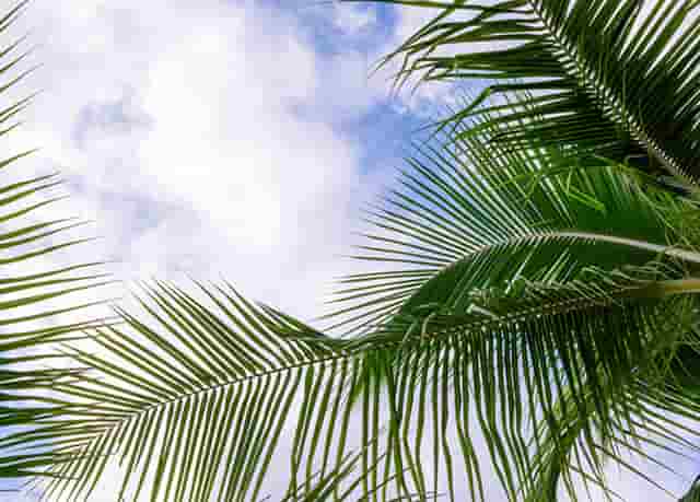 袖虎列举加盟坑钱的那些破事