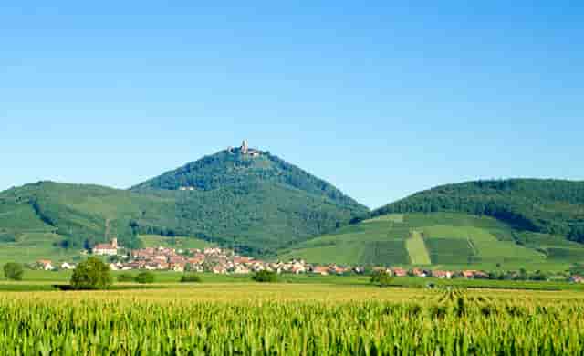 物资供给保障(保障资源供给的讨论)