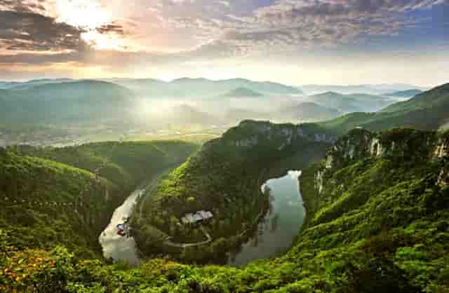袖虎宠物店留客的那些套路