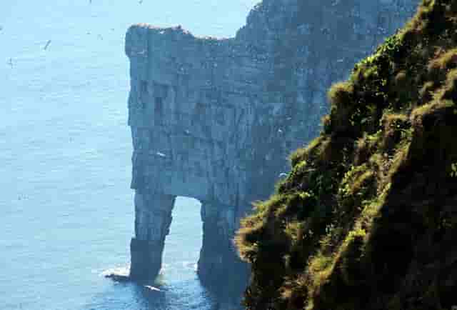 为什么有些楼盘不做落飘窗(为什么有些楼盘不限购)