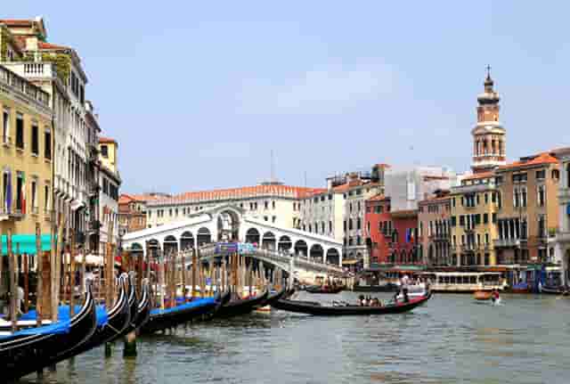 袖虎病猫攻略：公猫不愿与母猫交配怎么办