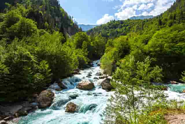 火锅鱼的吃法这样吃更好吃！胡海泉灥喜锅企业教给你