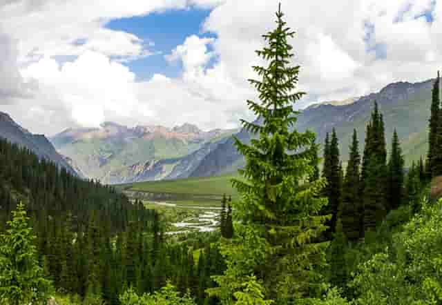 共享单车现在情况如何(如何首次使用共享单车)