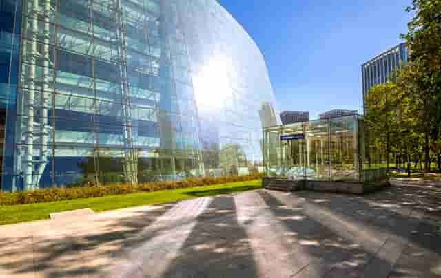 袖虎提醒遭遇骗子卖猫后主人怎么办