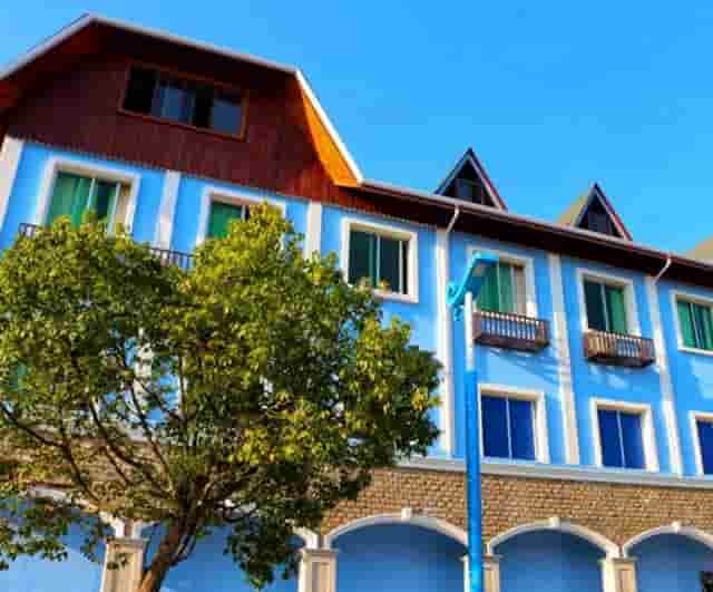 3M欧米茄蝶飞系列424.13.27.60.55.001腕表