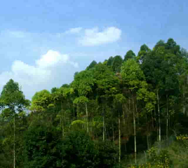 西比曼生物科技宣布与阿斯利康就新型 GPC3装甲型CAR-T疗法在中国达成联合开发协议