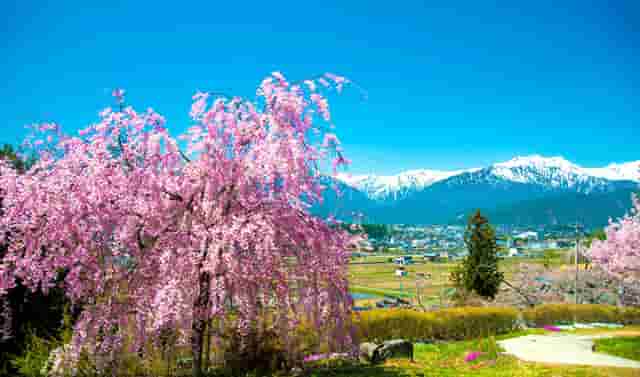 社区无人果蔬店如何经营？共享果蔬店前景怎么样