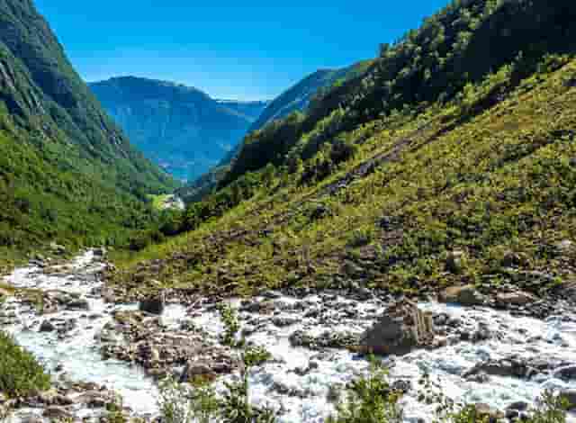 胡海泉灥喜锅必备的几种火锅配菜