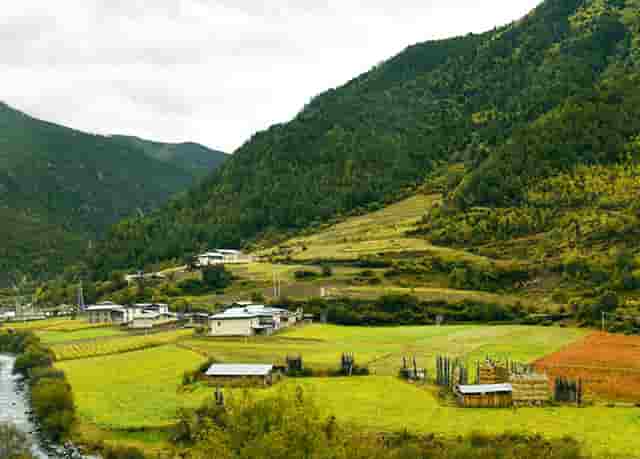 科尼钢丝绳16T吨20T吨52396