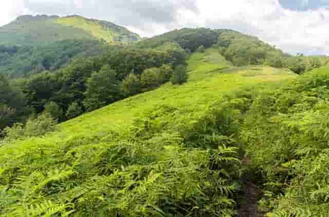 父母如何做才能让孩子语言能力强？<博舍托育>