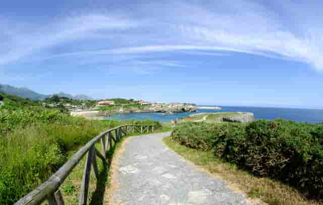 新手买了包钢股份(包钢股份股票可以买吗现在)